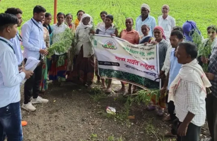 कृषिदुतांकडून शेतकऱ्यांना गाजर गवत निर्मुलन बद्दल मार्गदर्शन