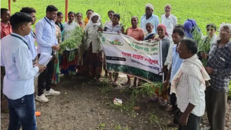 कृषिदुतांकडून शेतकऱ्यांना गाजर गवत निर्मुलन बद्दल मार्गदर्शन