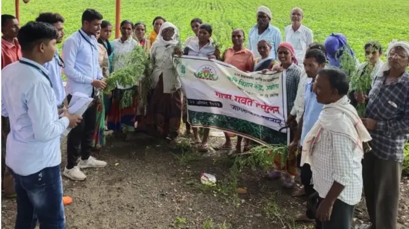 कृषिदुतांकडून शेतकऱ्यांना गाजर गवत निर्मुलन बद्दल मार्गदर्शन