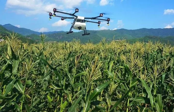 Importance of Artificial Intelligence in Agriculture