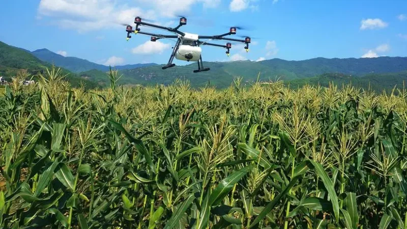 Importance of Artificial Intelligence in Agriculture