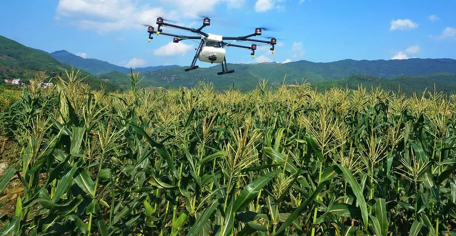 Importance of Artificial Intelligence in Agriculture