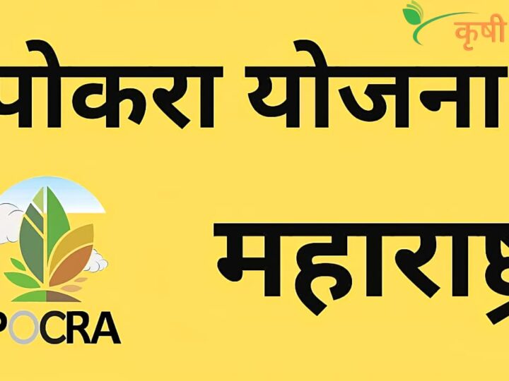 नानाजी देशमुख कृषी संजीवनी प्रकल्प (पोकरा): संपूर्ण माहिती