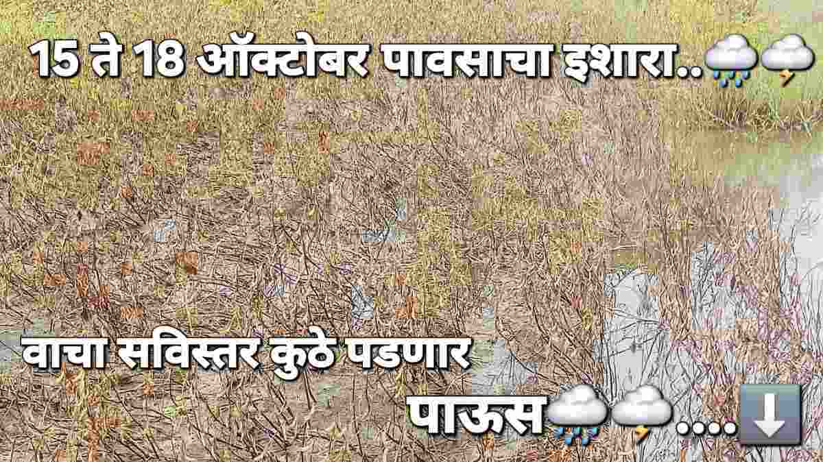 १५ ते १८ ऑक्टोबरदरम्यान पावसाची शक्यता, शेतकऱ्यांनी आत्ताच घ्या ही खबरदारी