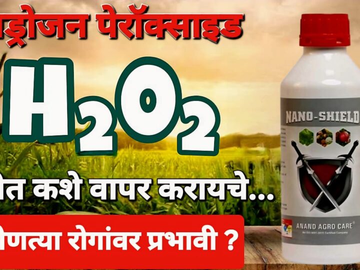 हायड्रोजन पेरॉक्साइड शेतीतील गेमचेंजर: माती शुद्धीकरणपासून रोगनियंत्रणापर्यंत संपूर्ण मार्गदर्शक