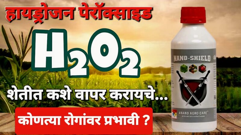 हायड्रोजन पेरॉक्साइड शेतीतील गेमचेंजर: माती शुद्धीकरणपासून रोगनियंत्रणापर्यंत संपूर्ण मार्गदर्शक
