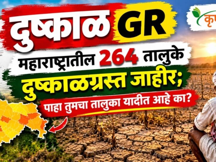 दुष्काळ GR : महाराष्ट्रातील २६५ तालुके दुष्काळग्रस्त जाहीर; पाहा तुमचा तालुका यादीत आहे का?