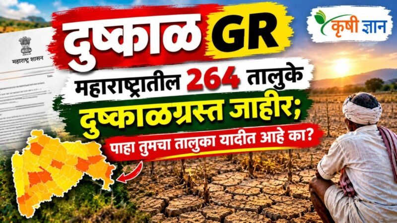 दुष्काळ GR : महाराष्ट्रातील २६५ तालुके दुष्काळग्रस्त जाहीर; पाहा तुमचा तालुका यादीत आहे का?