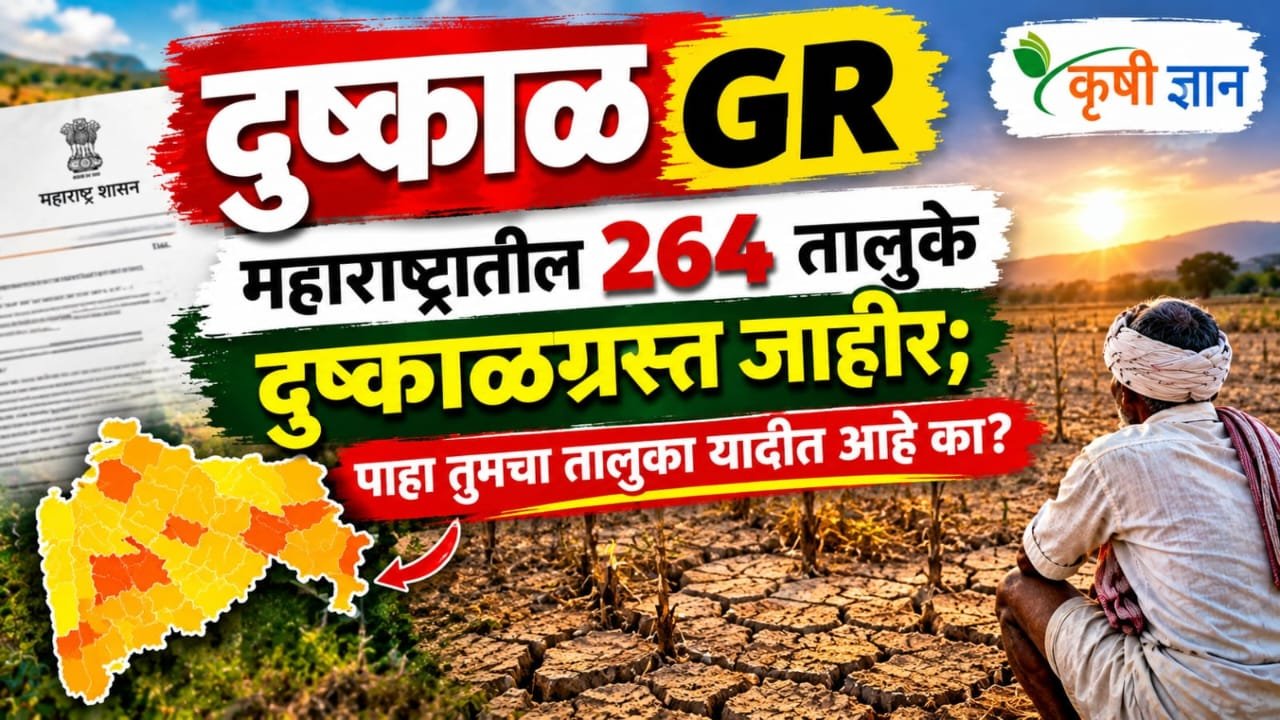 दुष्काळ GR : महाराष्ट्रातील २६५ तालुके दुष्काळग्रस्त जाहीर; पाहा तुमचा तालुका यादीत आहे का?