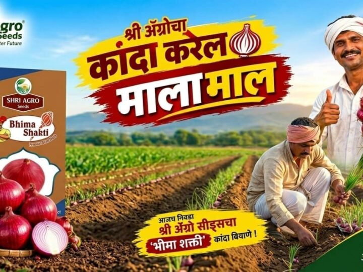 श्री अ‍ॅग्रो सीड्सचा ‘भीमा शक्ती’ : लाल रंग, चांगले उत्पादन आणि साठवणुकीची क्षमता