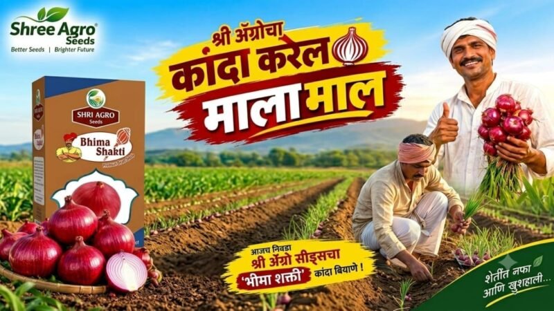 श्री अ‍ॅग्रो सीड्सचा ‘भीमा शक्ती’ : लाल रंग, चांगले उत्पादन आणि साठवणुकीची क्षमता