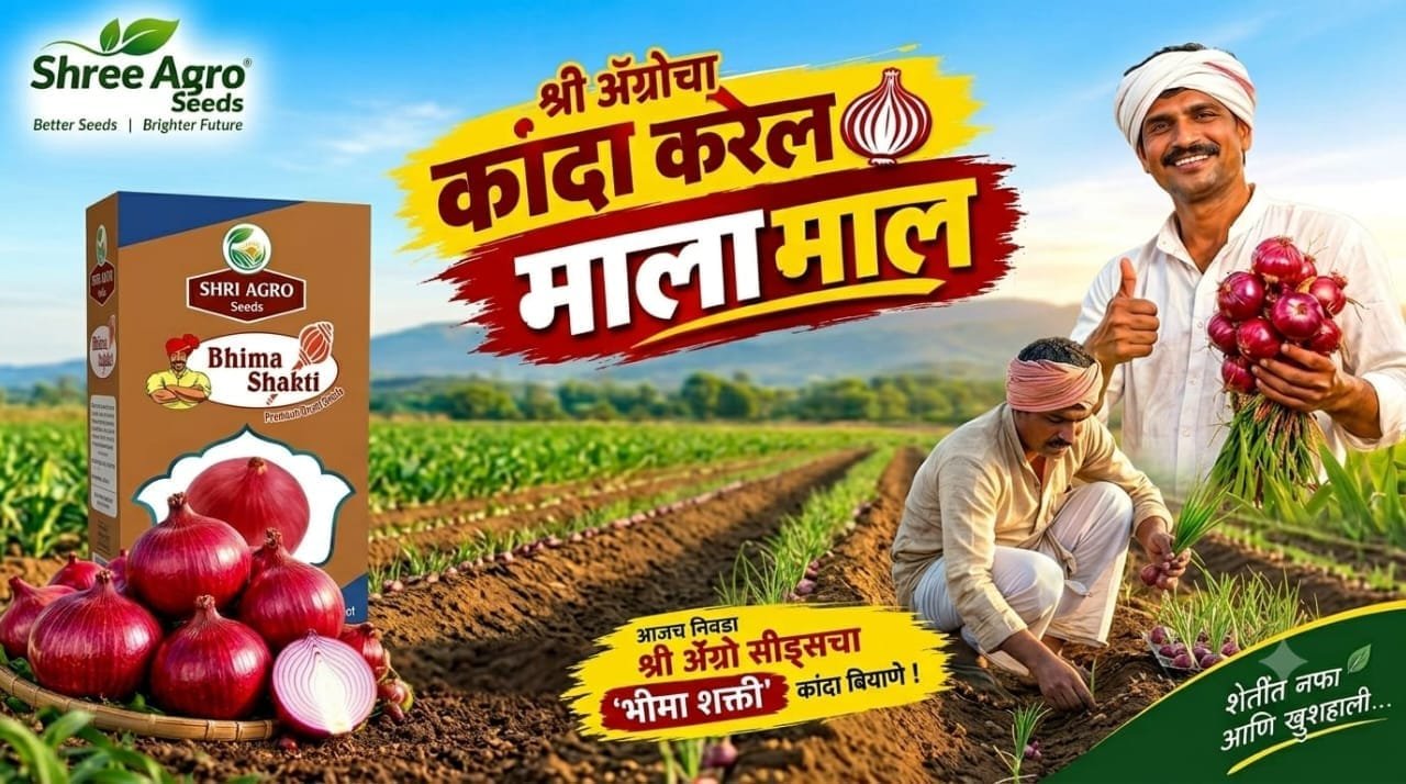 श्री अ‍ॅग्रो सीड्सचा ‘भीमा शक्ती’ : लाल रंग, चांगले उत्पादन आणि साठवणुकीची क्षमता