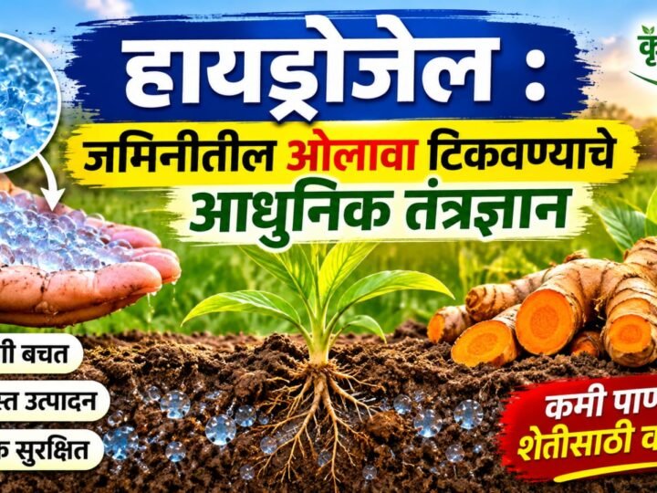हायड्रोजेल : जमिनीतील ओलावा टिकवण्याचे आधुनिक तंत्रज्ञान